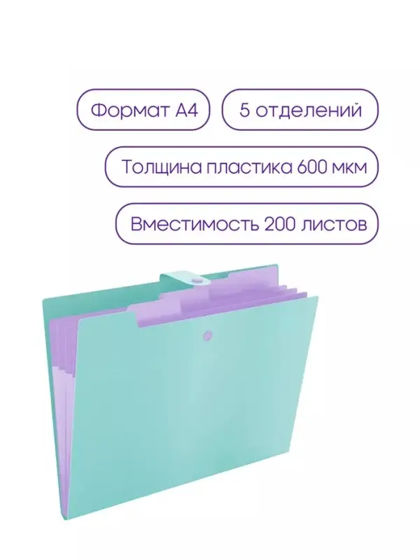 Папка А4, 5 отделений, Calligrata, 600 мкм, на кнопке, зеленая, матовая