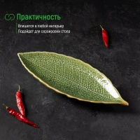 Блюдо керамическое сервировочное &laquo;Дендрарий&raquo;, 26&times;10,5&times;1,5 см, цвет зелёный