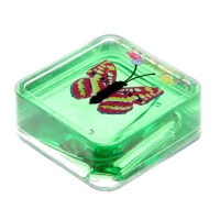 Лизун &laquo;Бабочка&raquo;, виды МИКС