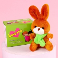 Мягкая игрушка &laquo;Моей половинке&raquo;, зайчик, цвета МИКС, в шоубоксе