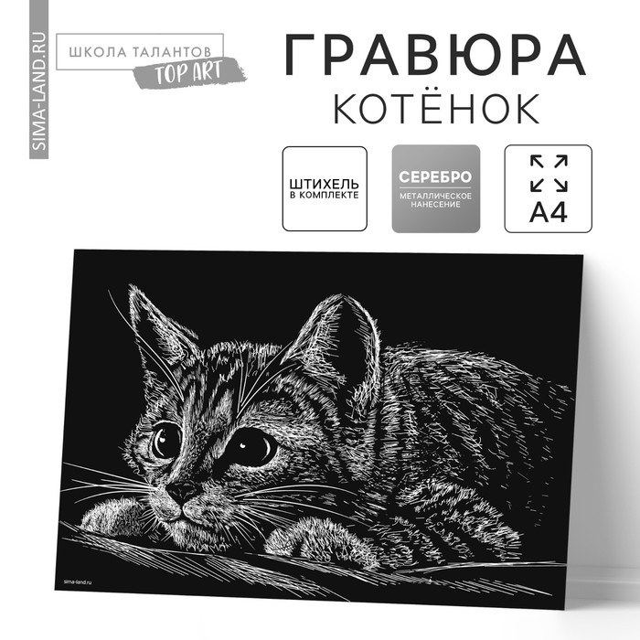 Гравюра &laquo;Котёнок&raquo; с металлическим эффектом &laquo;серебро&raquo; А4