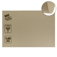 Картон переплётный (обложечный) 1.25 мм, 70 х 100 см, 800 г/м&sup2;, серый