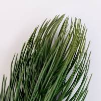 Новый год! Литая веточка, зелёная, набор 1 шт.