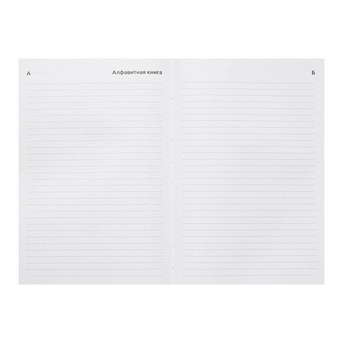 Ежедневник датированный 2024 года, А5, 176 листов, Attomex.Arkona, обложка бумвинил, ляссе, блок 70 г/м2, синий