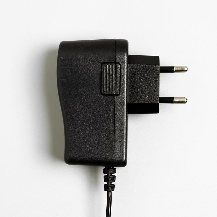 Гирлянда &laquo;Конский хвост&raquo; 10 нитей по 1 м, IP20, серебристая нить, 100 LED, свечение белое, 8 режимов, 12 В