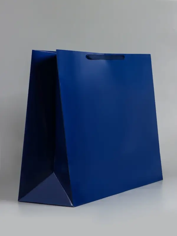 Пакет ламинированный горизонтальный "Синий", XXL  61 х 46 х 20 см