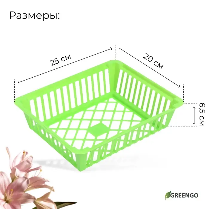 Корзина для луковичных, квадратная, 25&times;20 см, зелёная, Greengo