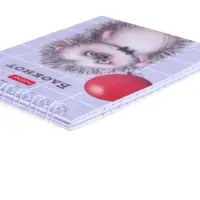 Блокнот А7, 40 листов на гребне в клетку "Хорошо быть ёжиком", обложка мелованный картон, блок офсет 65 г/м2