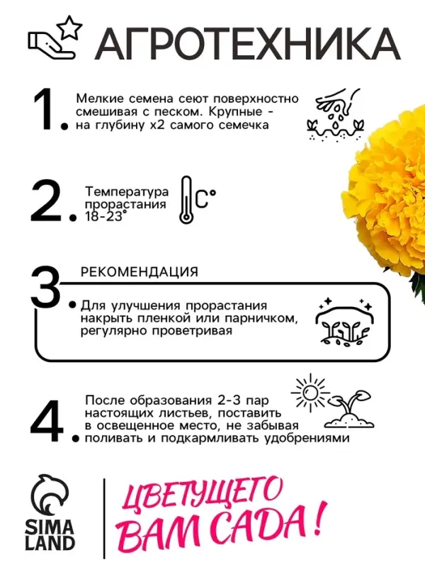 Семена цветов Бархатцы прямостоячие "Лимонное чудо", 0,3 г