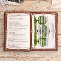 Родословная книга в шкатулке с пером и чернильницей &laquo;Древо&raquo;, 56 листов, 26 х 24 х 7 см.