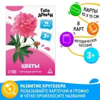 Обучающие карточки по методике Глена Домана &laquo;Цветы&raquo;, 8 карт, 3+