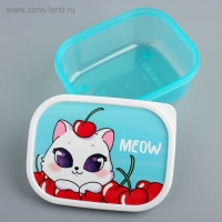Ланч-бокс &laquo;Meow&raquo;, 500 мл