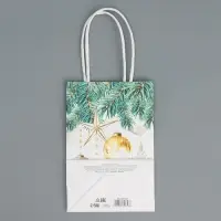 Пакет подарочный новогодний крафтовый &laquo;Роскошь Нового года&raquo;, 15 х 10 х 6 см