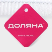 Ёршик для посуды Доляна, 56&times;5 см, цвет МИКС