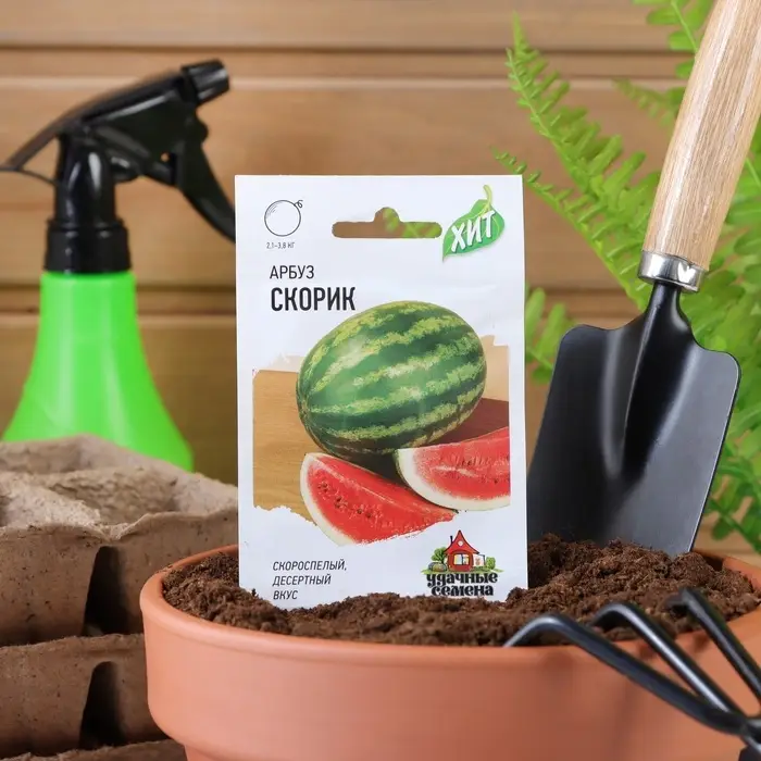 Семена Арбуз "Скорик", ц/п,  1 г  серия ХИТ х3