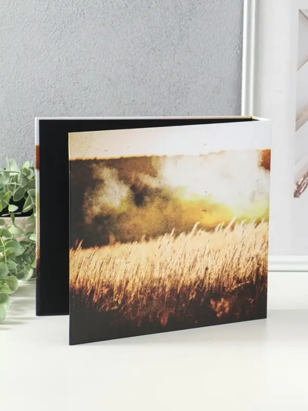 Фотоальбом 25 листов (уголки+кольца) "СВО. На память о службе" 25х23 см