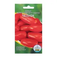 Семена Томат "Челнок", детерминантный,низкорослый 20 шт