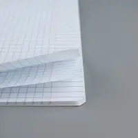 Тетрадь в клетку 18 листов А5, на скрепке &laquo;Школа&raquo;, обложка мелованный картон, 5 видов МИКС