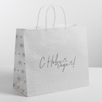 Пакет подарочный новогодний крафт &laquo;Чудесный праздник&raquo;, 25 х 22 х 12 см, Новый год