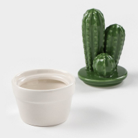 Банка для хранения сыпучих продуктов Доляна &laquo;Кактус&raquo;, 170 мл, 8&times;8&times;15 см, керамическая