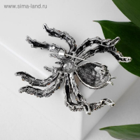 Брошь &laquo;Паук&raquo; цветочки, цвет серо-зелёный в чернёном серебре