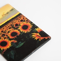 Обложка для паспорта, цвет разноцветный