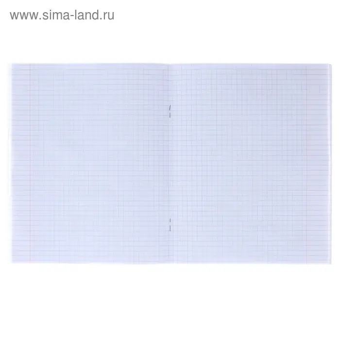 Тетрадь 36 листов в клетку Calligrata &laquo;Кактус&raquo;, обложка мелованный картон, МИКС
