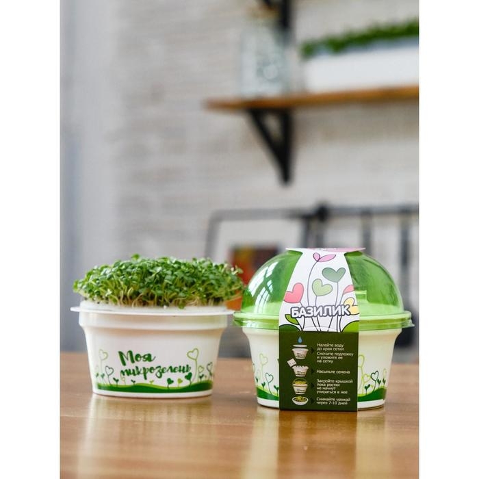 Набор для выращивания &laquo;Моя микрозелень&raquo;, базилик
