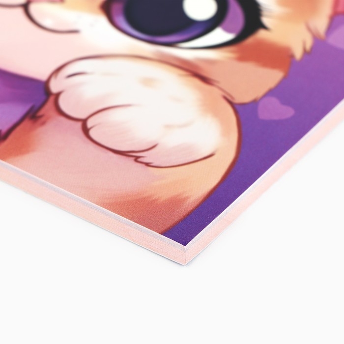 Личный дневник для девочки А5, 50 л. &laquo;Мой личный дневник. Котик&raquo;