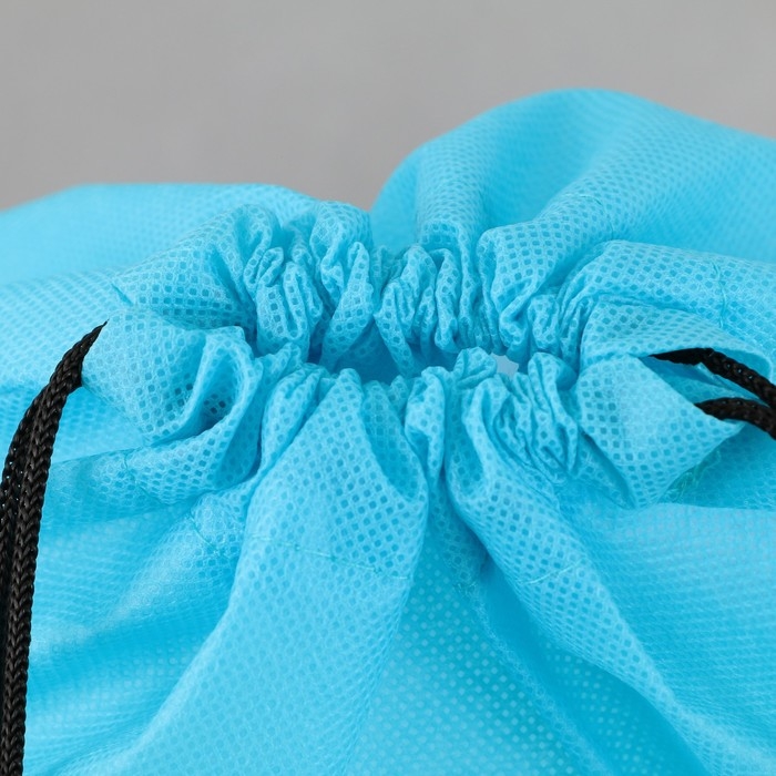 Мешок для обуви &laquo;1 сентября: Dinotime&raquo; нетканное полотно, размер 30 х 40 см