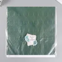 Бумага для скрапбукинга двусторонняя "Греция" плотность 180 гр 30,5х32 см