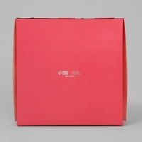 Кондитерская упаковка, коробка с ламинацией &laquo;Тюльпаны&raquo;, 20 х 20 х 4 см