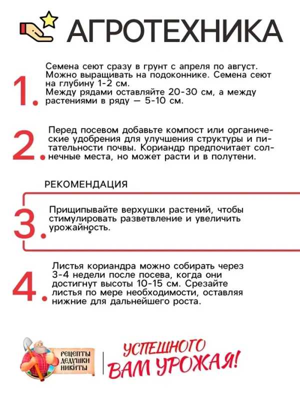 Семена Кориандр "Янтарь", 5 г