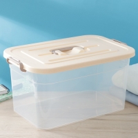 Контейнер для хранения с крышкой Доляна, 15 л, 41,5&times;27&times;22 см, цвет бежевый