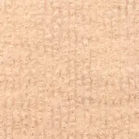 Коврик когтеточка на клеевой основе "Бежевый", 60х30см