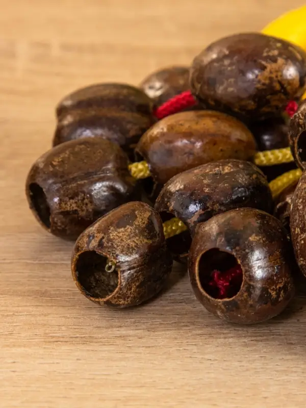 Сувенирный музыкальный инструмент "Погремушка" орех кемири, 16х10х3 см, МИКС