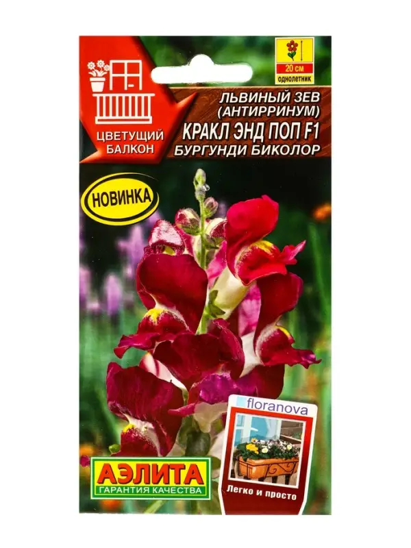 Семена цветов Львиный зев Кракл энд поп F1 бургунди биколор С. Floranova Цветущий балкон, Ц/П,7 шт.