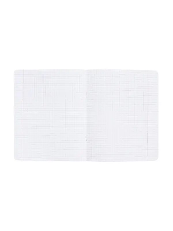 Тетрадь 48 листов в клетку &laquo;Буквица&raquo; ФИЗИКА, обложка мелованный картон, матовая ламинация, тиснение фольгой, с интерактивным справочником, бл...