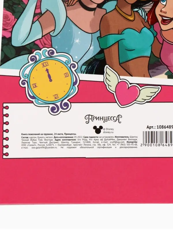 Книга пожеланий на пружине, 21,7х21 см, Принцессы