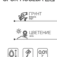 Семена цветов Катарантус "ГОЛИАФ Микс", 0,01г.