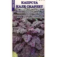 Семена Капуста Кале Скарлет листовая /Сотка/ 0,3г/ выс. 80-100см красн./*1200