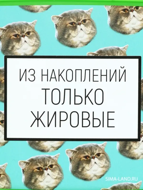 Ланч-бокс &laquo;Накопления&raquo;, 500 мл