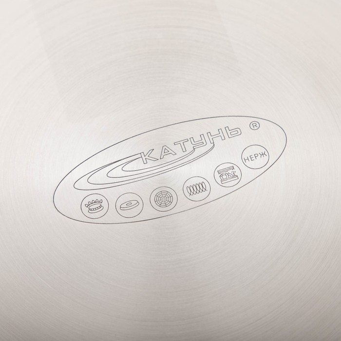 Кастрюля &laquo;Общепит&raquo;, 9 л, d=24 см, h=20 см, капсульное дно, индукция