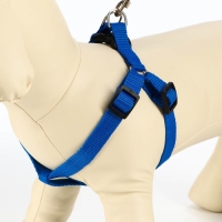 Комплект &laquo;Базис&raquo;, поводок 120&times;1.5 см, шлейка 32-46&times;1.5 см, синий