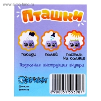 Набор для опытов &laquo;Пташки, выращиваем травку&raquo;, фиолетовый горшочек