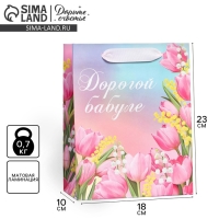 Пакет подарочный ламинированный вертикальный, упаковка, &laquo;Дорогой бабуле&raquo;, MS 18 х 23 х 10 см