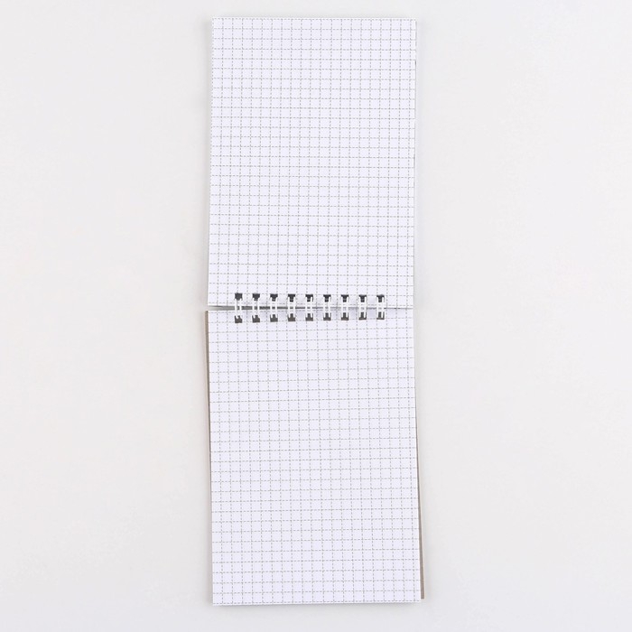 Блокнот &laquo;Котик&raquo; на гребне, А6, 40 листов в клетку, мягкая обложка, плотность бумаги 65 р