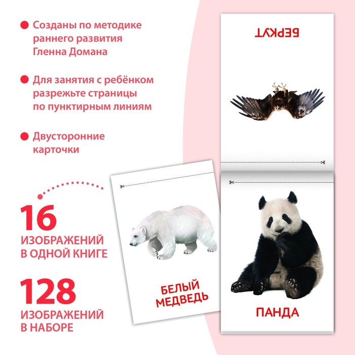 Книги &laquo;Карточки Домана. Узнаём мир&raquo;, набор, 8 шт. по 20 стр.