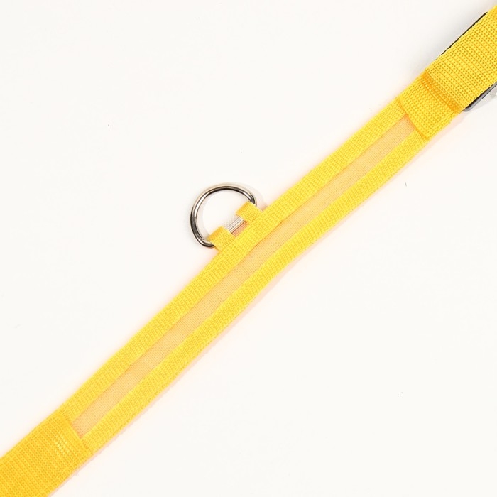 Ошейник с подсветкой размер L, ОШ 45-52 х 2,5 см 3 режима свечения жёлтый