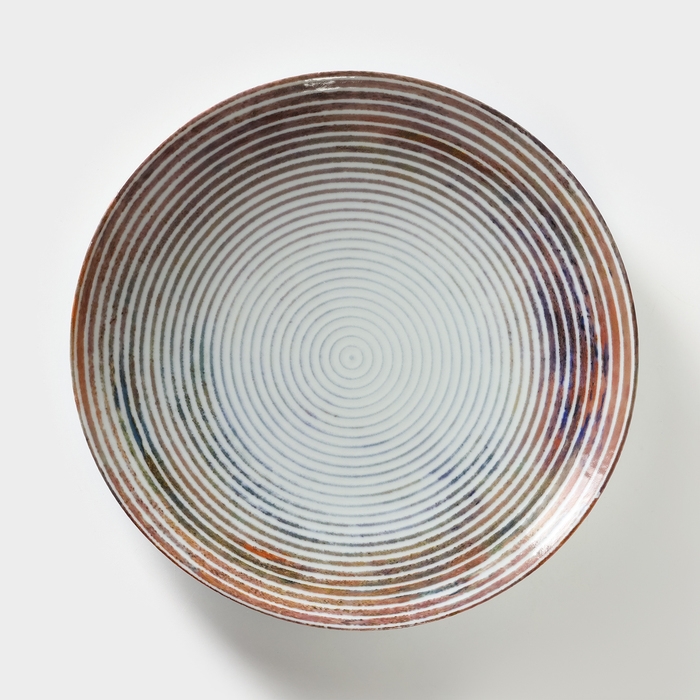 Тарелка фарфоровая &laquo;Энигма&raquo;, d=24 см